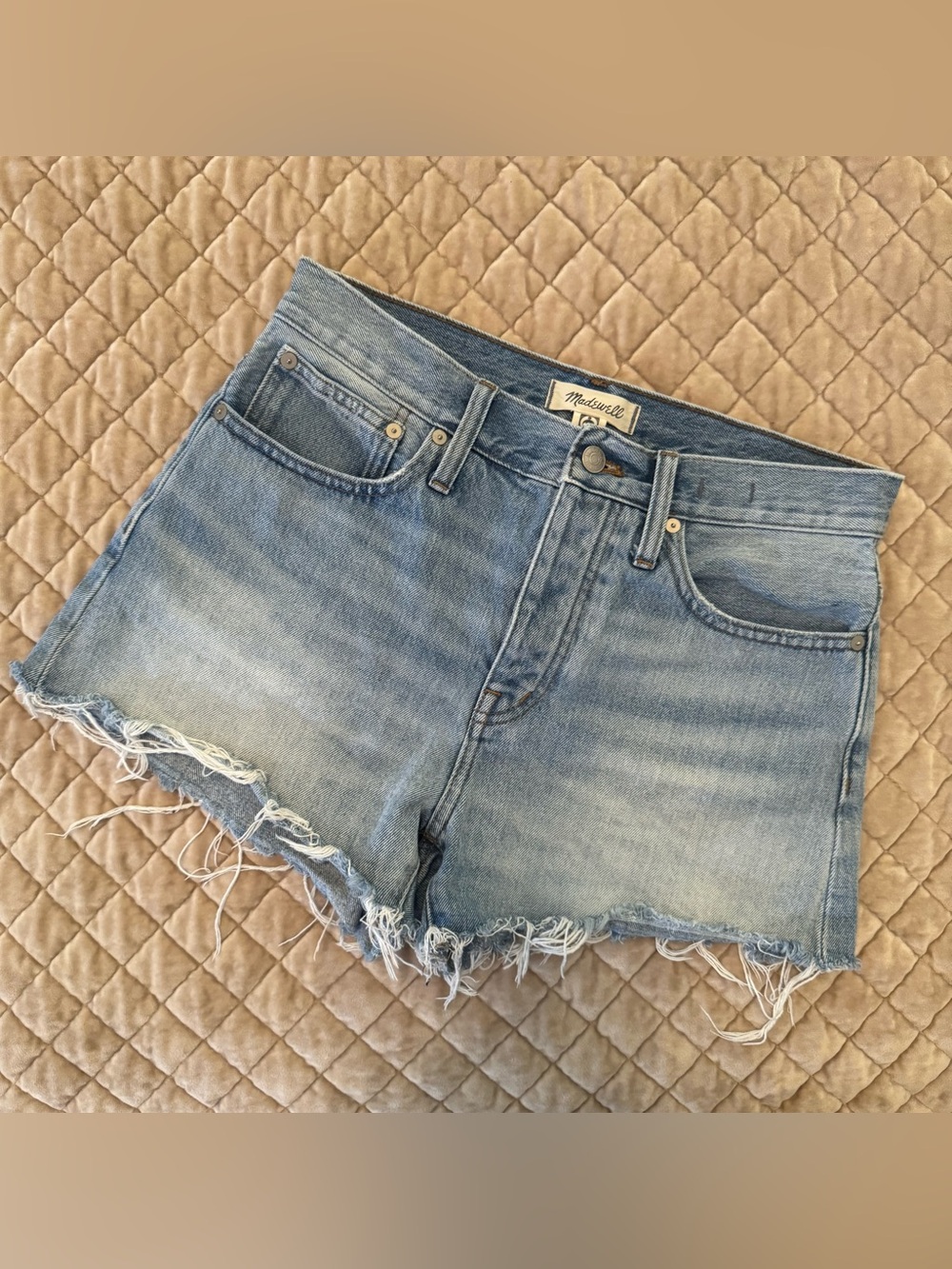 Madewell Relaxed Denim Frayed Hem Cutoff Shorts